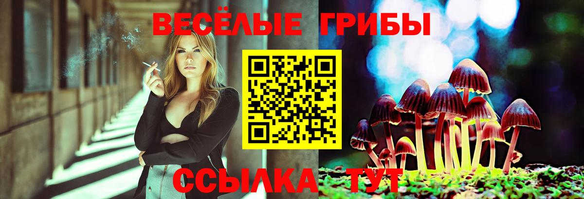 Галлюциногенные грибы Cubensis Кирово-Чепецк
